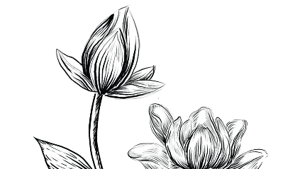 Decorative floral pattern