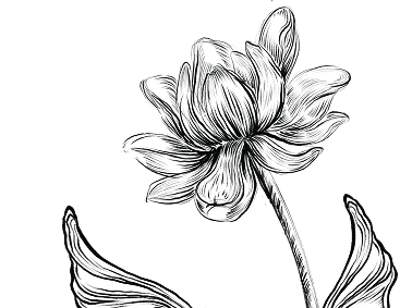 Decorative floral pattern