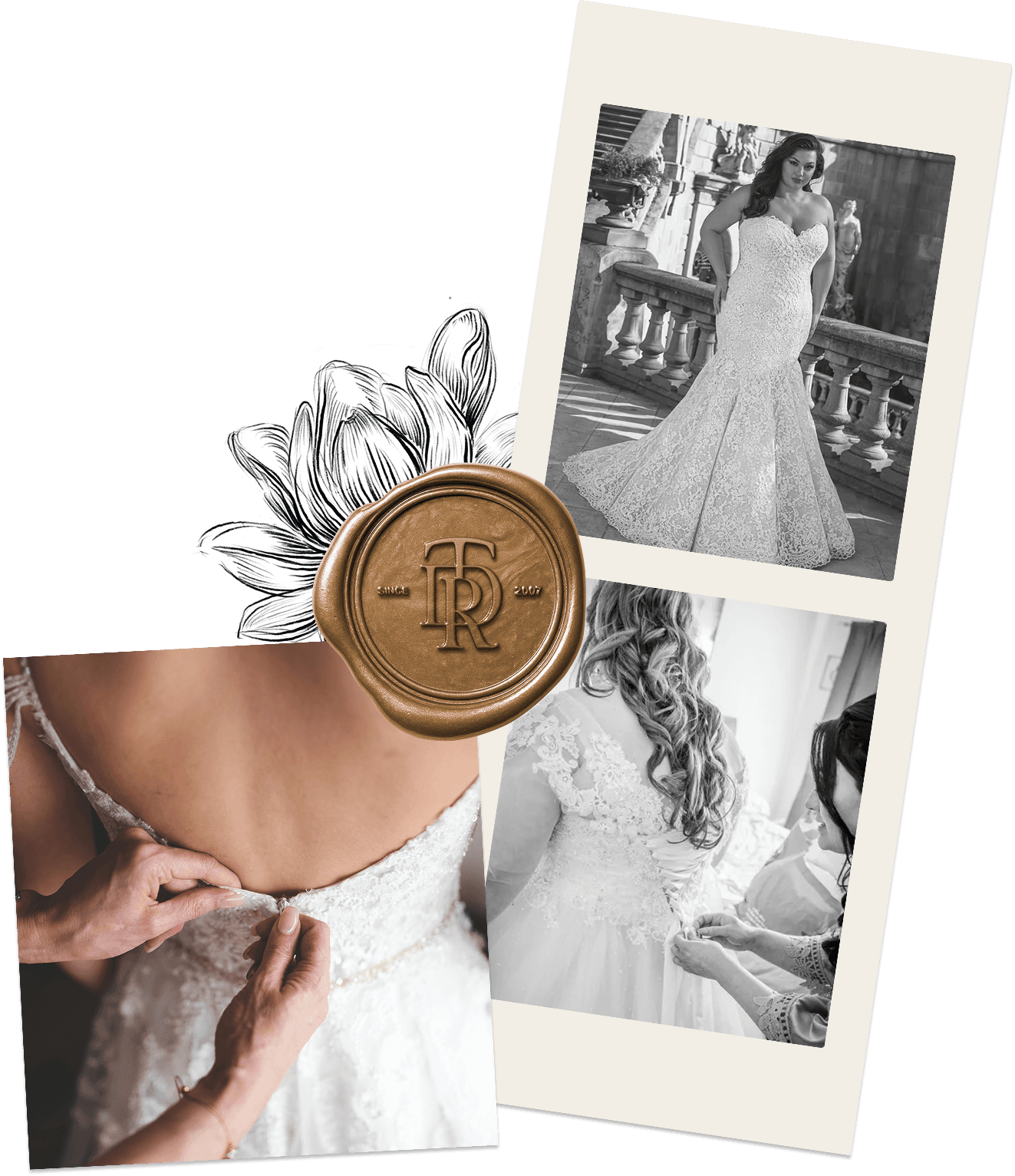 Beautiful brides in wedding dresses