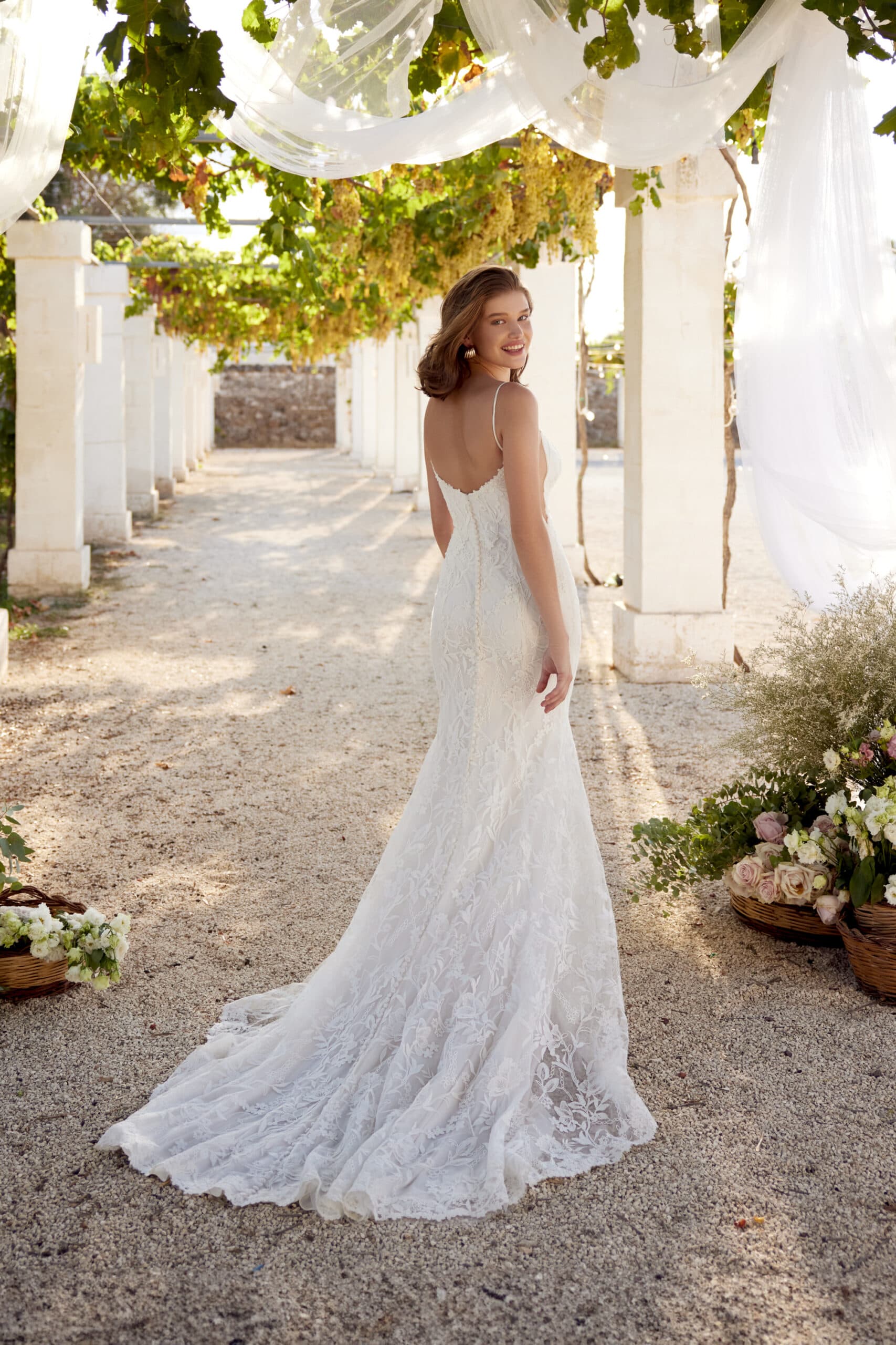 66399N - Lillian West wedding dress by Lillian West Allover embroidered matte lace fit and flare with a plunging... view 2