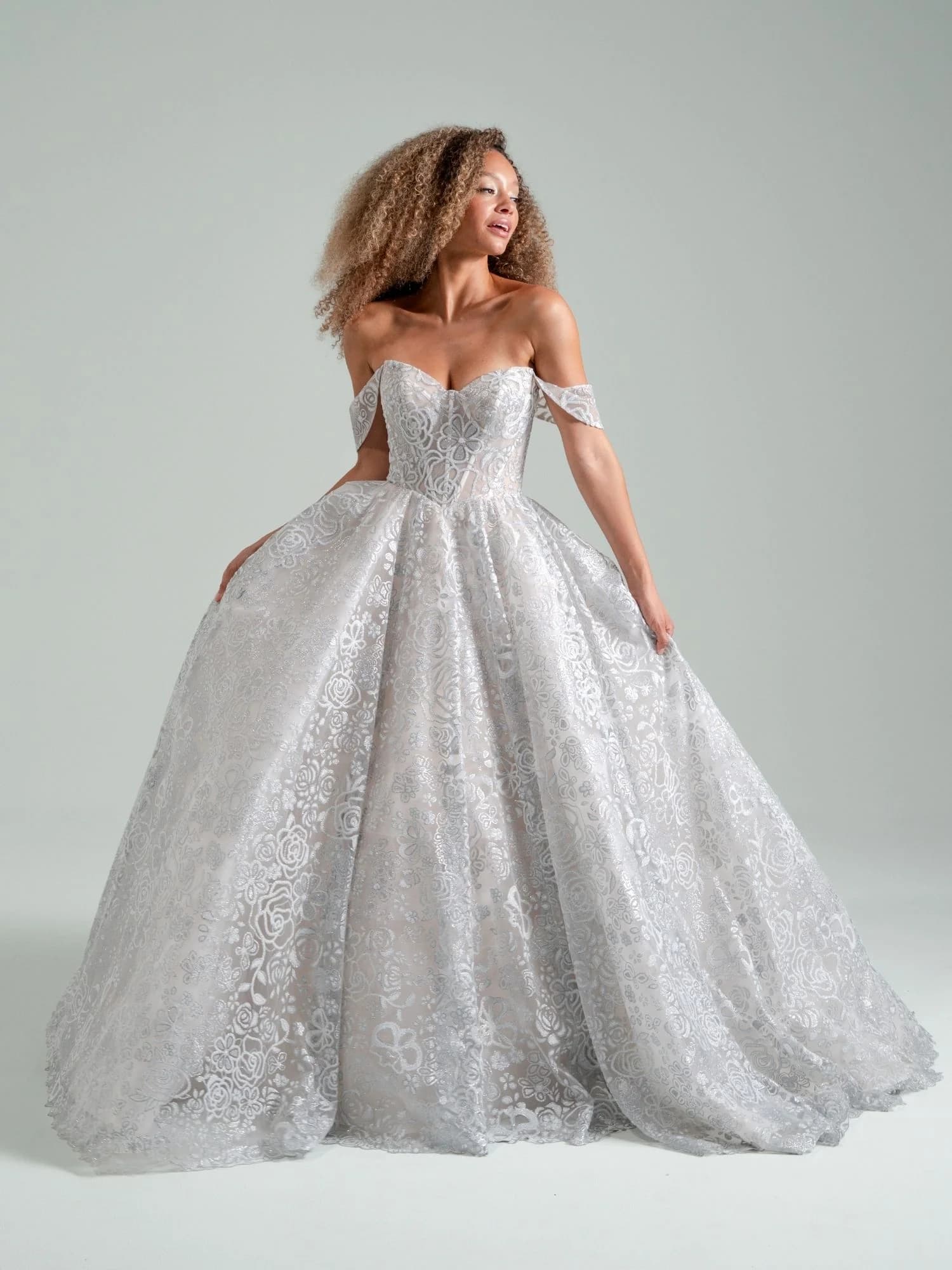 Silver Springs - Hayley Paige wedding dress by Hayley Paige - Meteorite caviar-beaded ballgown, sweetheart corset bodice w