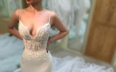 What to Expect From Enzoani 2019 Wedding Dress Collection
