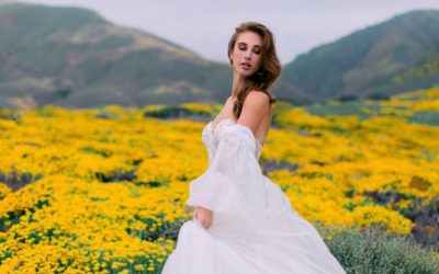 How to choose the perfect Wedding Dress for my spring wedding.